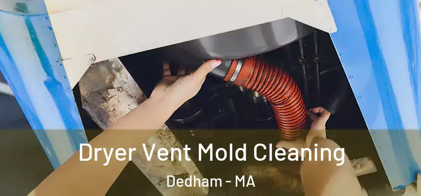  Dryer Vent Mold Cleaning Dedham - MA
