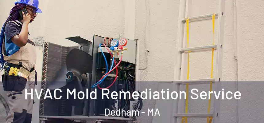  HVAC Mold Remediation Service Dedham - MA