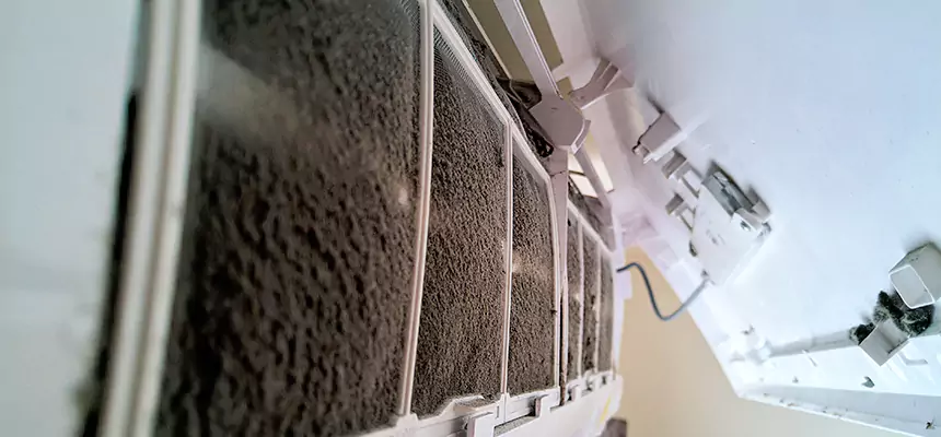 Preventive Air Duct Bacteria Removal in Dedham