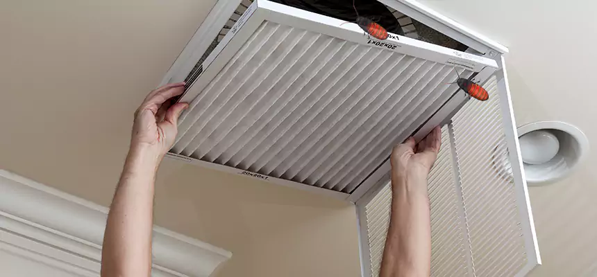 Preventive Cockroach-Proofing for Ducts in Dedham