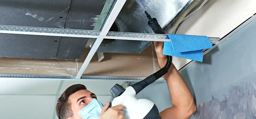 Our Air Duct Rodent Removal Services in Dedham, MA