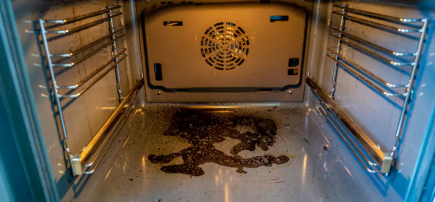 Our Dryer Vent Mold Cleaning Services in Dedham, MA