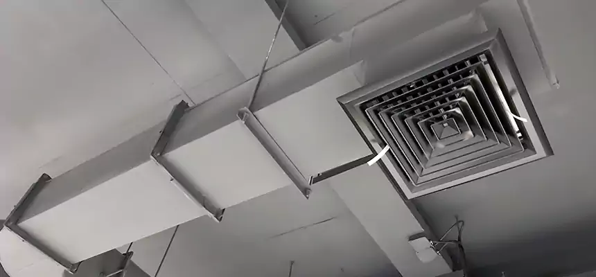 Our Pest Removal From Ducts Services in Dedham, MA