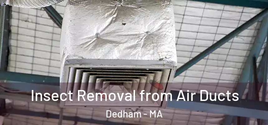  Insect Removal from Air Ducts Dedham - MA