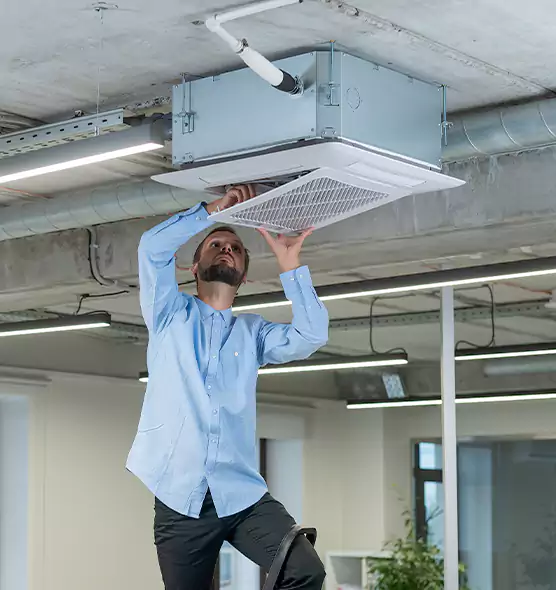 Advanced Rodent Droppings In Vents in Dedham, MA