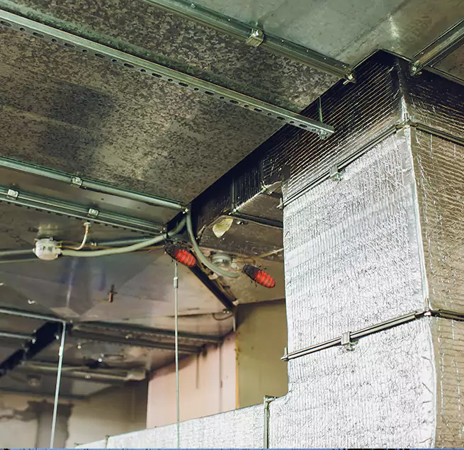 Why Homeowners & Businesses Trust Us in Dedham, MA?