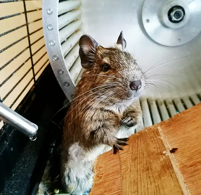 Why Homeowners & Businesses Trust Us Dedham, MA