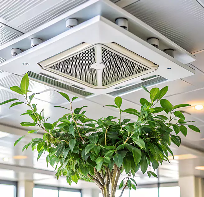 Why Homeowners & Businesses Trust Us in Dedham, MA